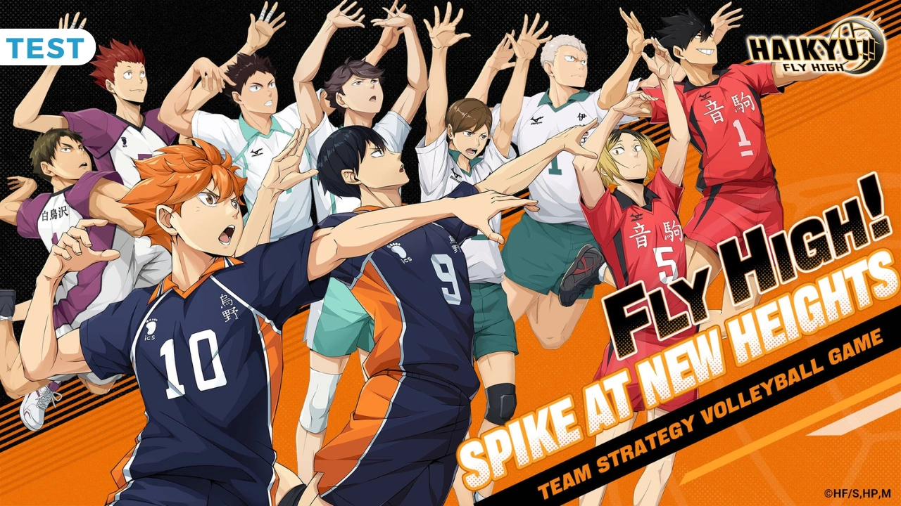 Test Haikyu!! Fly High