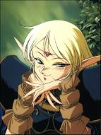 Record of Lodoss War - 01 - 500x670